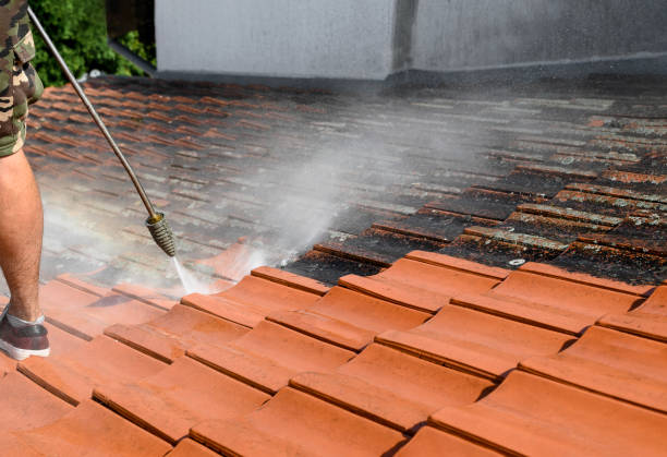 Best Residential Pressure Washing Services  in Olton, TX